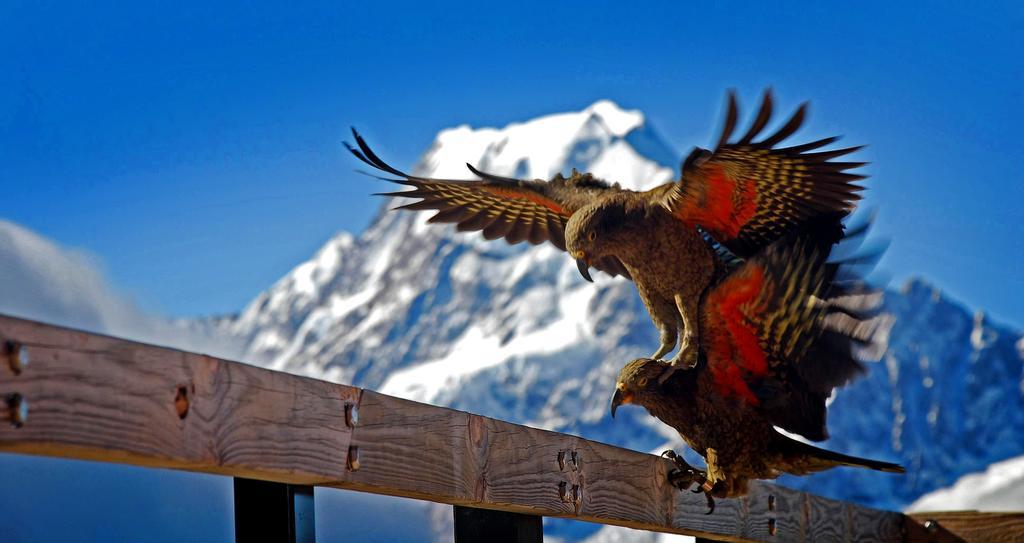 Готель Glentanner Park Centre Aoraki / Mount Cook Екстер'єр фото